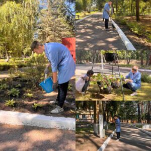 В социальном пансионате «Васильевский» организована летняя занятость для молодежи.