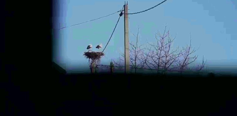 «На родной земле – Живи Как Хозяин».